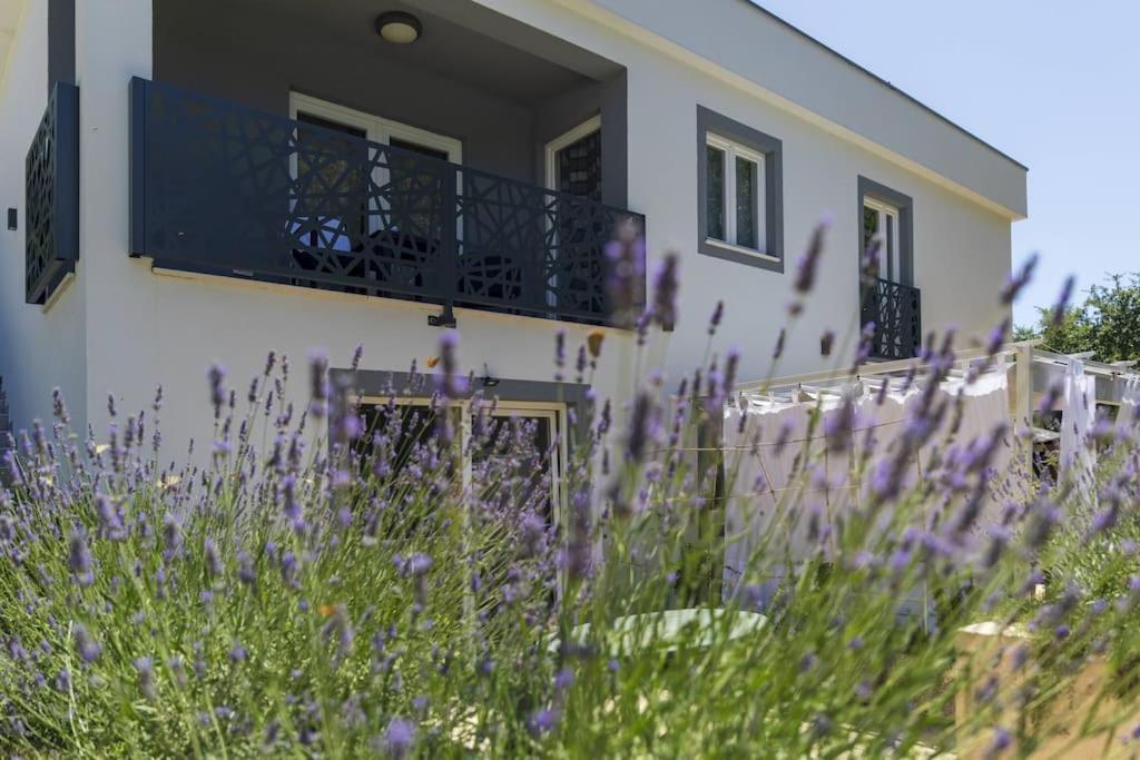 Luxury Villa Cetiri Hrasta Pićan 외부 사진