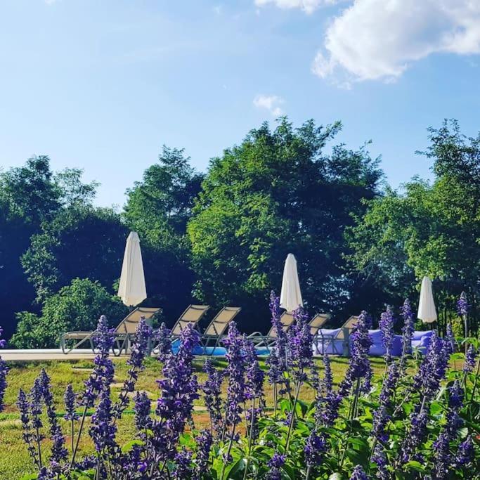 Luxury Villa Cetiri Hrasta Pićan 외부 사진