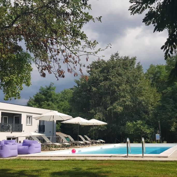 Luxury Villa Cetiri Hrasta Pićan 외부 사진