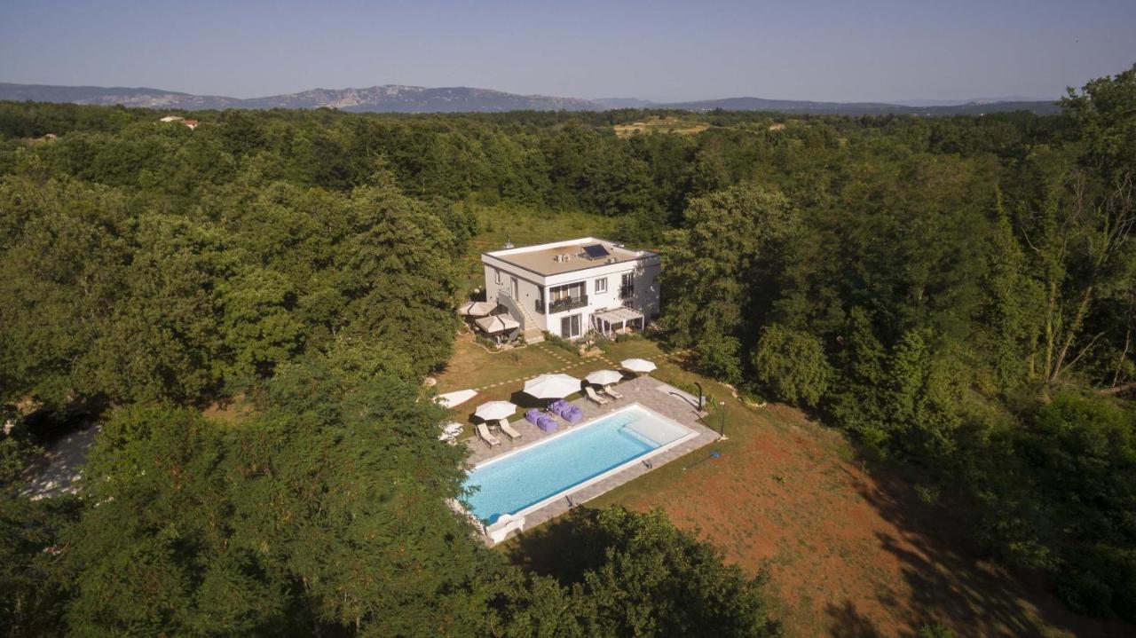 Luxury Villa Cetiri Hrasta Pićan 외부 사진